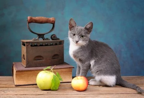 Cat posing next to an old irons, books and apple Foto stock