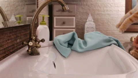 Cat prepares for a bath at the sink Stock Footage 99908800