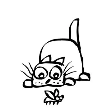 Cat preys on the beetle. Vector illustration. Stock Illustration