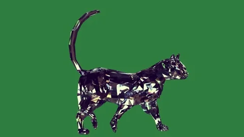 Cat Professional Isolated Green Screen Stock Video Stock Footage 338017715