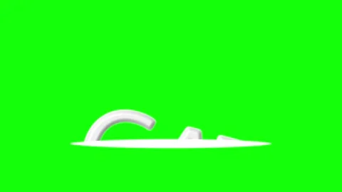 Cat Professional with Logo - Chroma Key Green Screen Footage Stock Footage 341329600