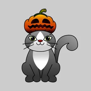 Cat in a pumpkin hat. Gray cat and pumpkin. Smiling pumpkin. Illustration for Illustration