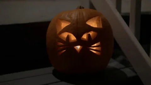 Cat Pumpkin Jack o Lantern on Door Step. Stock Footage 69104788