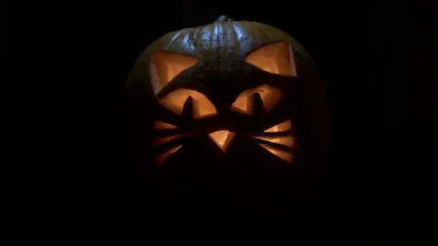 Cat Pumpkin Jack o Lantern Stock Footage 69106142