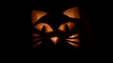 Cat Pumpkin Jack o Lantern Stock Footage 69106252