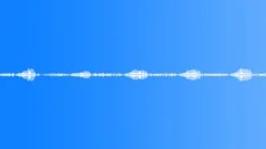 Cat purr Sound Effect