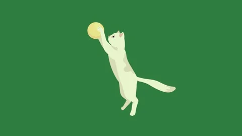 A cat reaching for ball on green background and white catching yellow playing Video stock 335129955