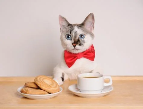 Cat in red bow tie drinking coffee with cookies Stock Photos