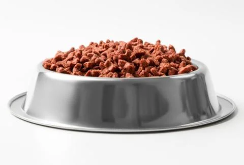 Cat red feed in silver bowl Stock Photos