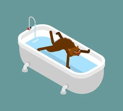 Cat refusing to take a bath. Humor concept about pets and their dislike for.. Stock Illustration