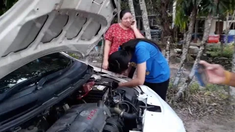 Cat rescued from car engine Stock Footage 105832502