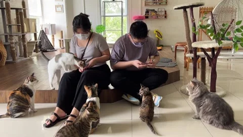 Cat Restaurant in Indonesia 動画素材 207480326