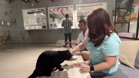 Cat Restaurant in Indonesia 動画素材 207480329