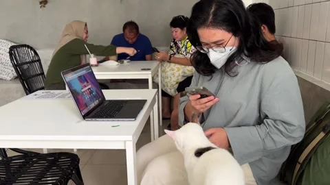 Cat Restaurant in Indonesia 動画素材 207480377