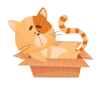 Cat Resting in Cardboard Box Vector Illustration Stock Illustration