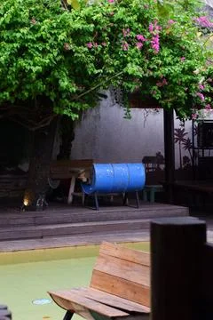 Cat Resting Inside Blue Barrel At Rustic Outdoor Cafe Stock Photos