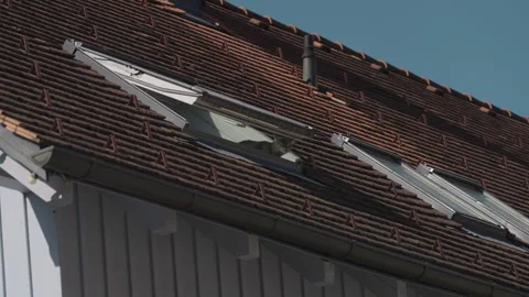 Cat Resting on Rooftop Skylight of Residential House Stock Footage 336048348