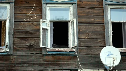 Cat resting on window sill of aged wooden house with satellite dish Stock Footage 291441960