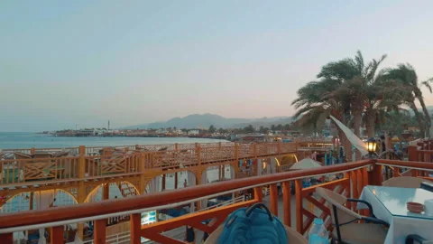 Cat Rests On Terrace Overlooking Seafront Restaurants At Dusk, Dahab Egypt Stock Footage 343155639