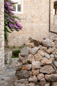 Cat on Rocks in Rustic Courtyard Stock Photos