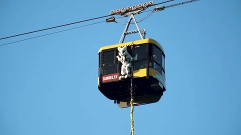 Cat rope jumping Video stock 230970441