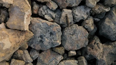 Cat Running Across Rocks Video stock 117838268