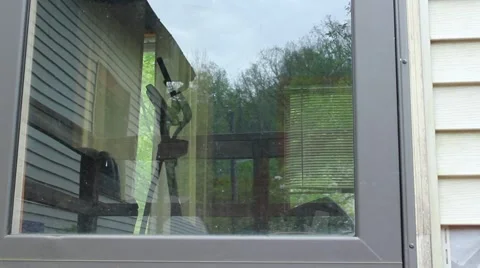 Cat running up to window Video stock 5468024