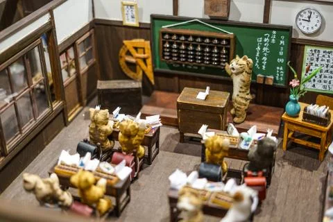 Cat of school Stock Photos