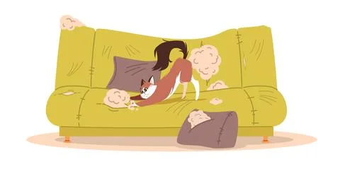 Cat scratched couch. Pet bed behavior. Domestic playfulness animal at home Stock Illustration