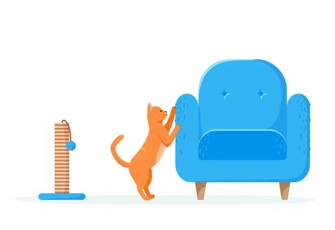 Cat scratching chair but not scratching post. Nasty kitten destroying home Stock Illustration
