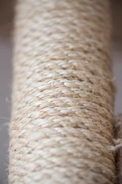 Cat scratching post Stock Photos