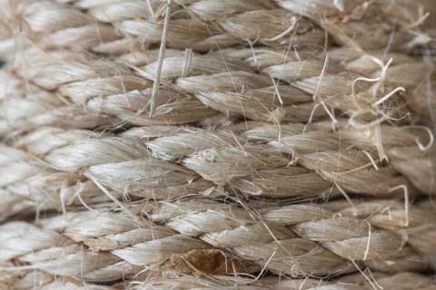 Cat scratching post Stock Photos