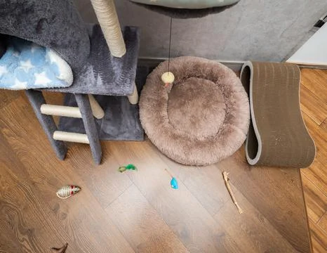 Cat scratching post, play complex for cats in apartments, pet toys. Stock Photos