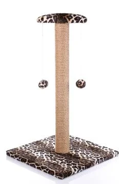 Cat scratching post on a white  background Stock Photos