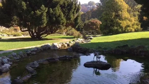 Cat sculpture Stock Footage 96352276