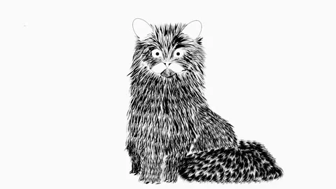 Cat self draw animated video Stock Footage 172539844