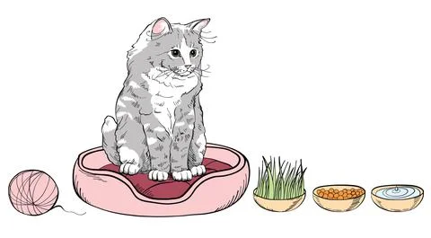 A cat set with cute kittens, soft pillows and accessories for games. Illustrazione stock