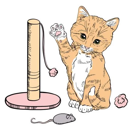 A cat set with cute kittens, soft pillows and accessories for games. Stock Illustration