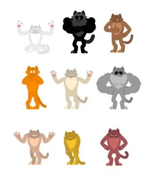 Cat set poses. Pet happy and yoga. Kitty sleeping and angry. guilty and sad.  Stock Illustration