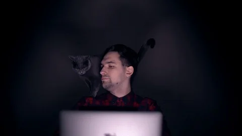 Cat on the shoulder of the programmer. Portrait of a man behind the monitor Stock Footage 104807040
