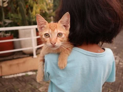 Cat on Shoulders Stock Photos