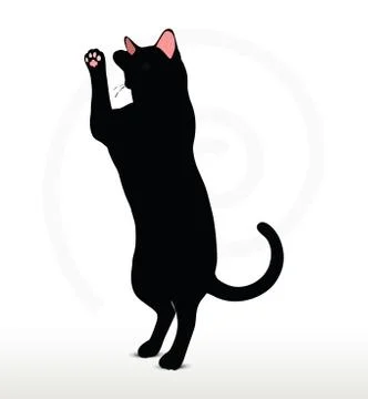 Cat silhouette in Boxing pose Stock Illustration