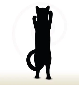 Cat silhouette Stock Illustration