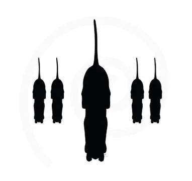 Cat silhouette Stock Illustration