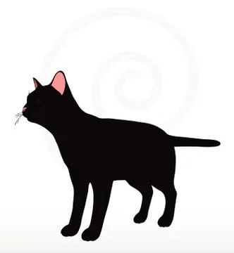 Cat silhouette Stock Illustration