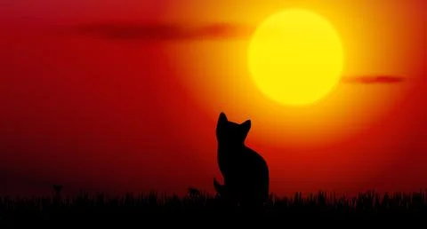 Cat silhouette Stock Illustration