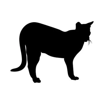 Cat Silhouette Stock Illustration