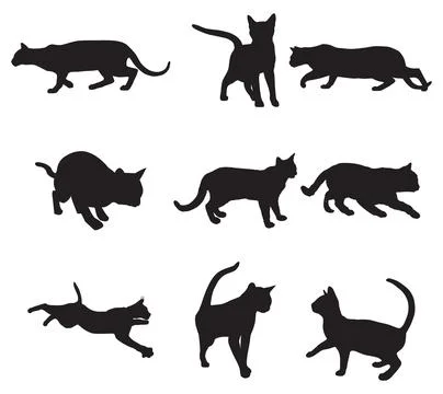 Cat silhouette Stock Illustration