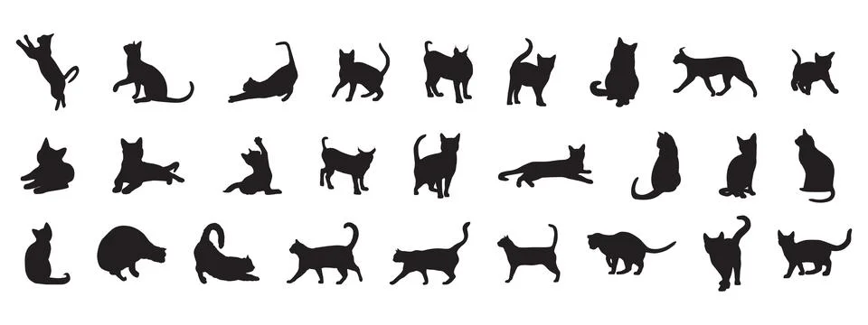 Cat silhouette Stock Illustration