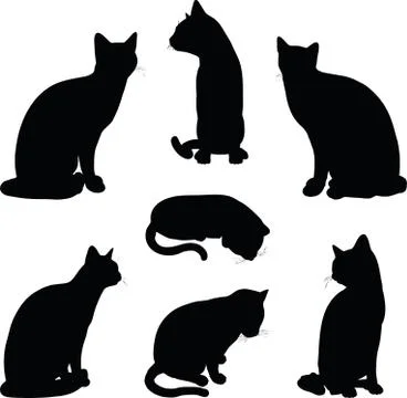 Cat silhouette in Sitting pose イラスト素材